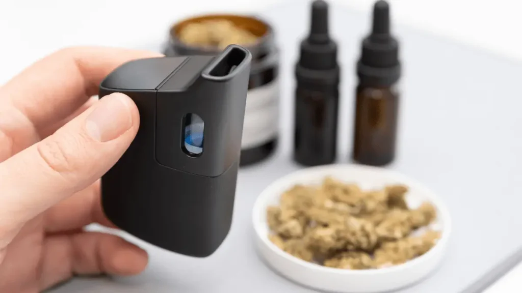 Os Diferentes Tipos de Vaporizadores de Ervas e Como Escolher o Ideal Os Diferentes Tipos de Vaporizadores de Ervas e Como Escolher o Ideal