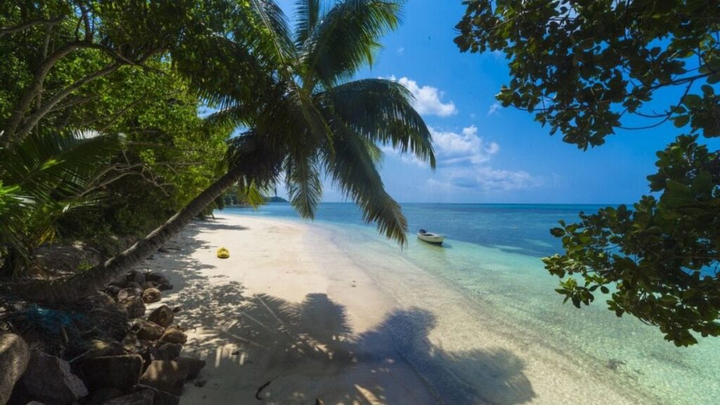 Litoral brasileiro: destinos imperdíveis para visitar Litoral brasileiro: destinos imperdíveis para visitar