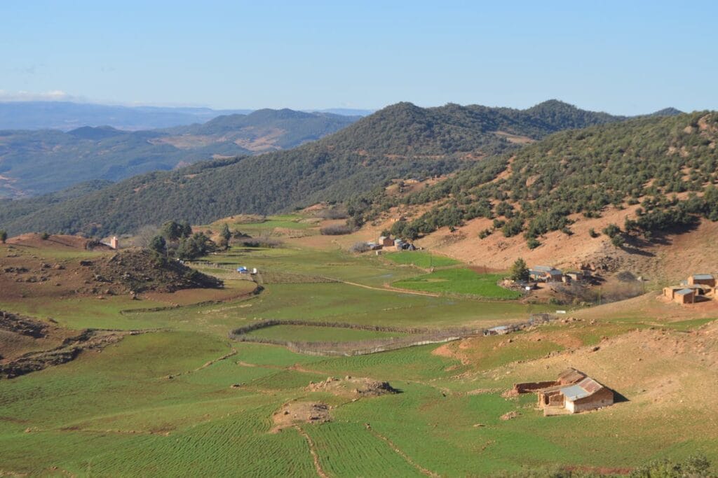 O papel das fintechs na inclusão de pequenos produtores rurais O papel das fintechs na inclusão de pequenos produtores rurais