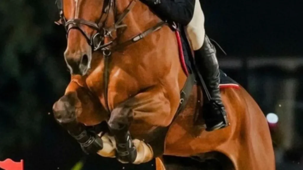 Candangão 2026: Hipismo de Brasília se prepara para grande evento