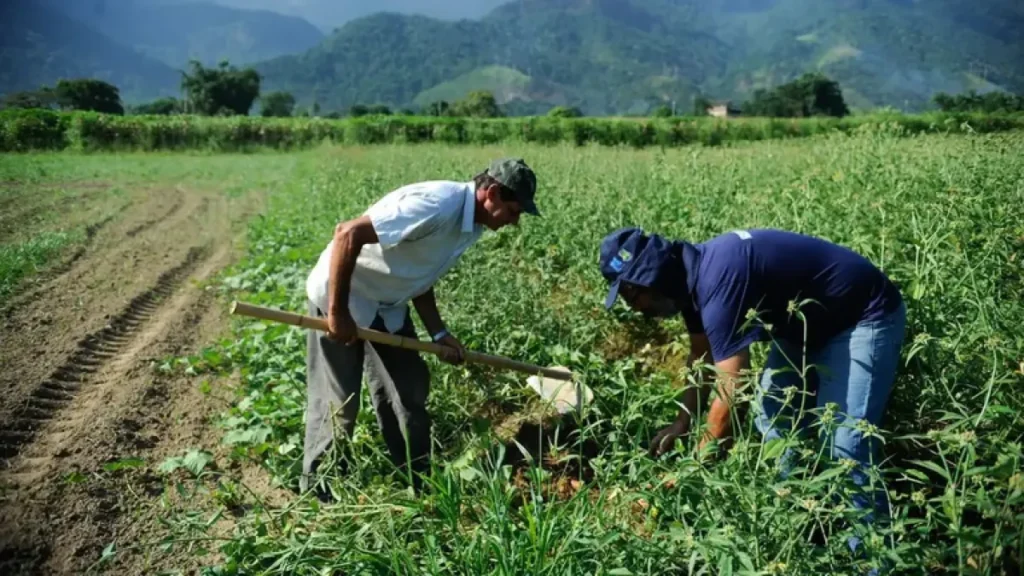 DF orienta como regularizar ocupação de área rural